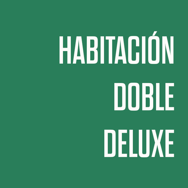 HABITACION DOBLE DELUXE