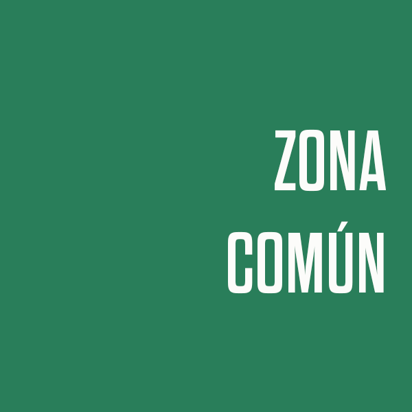 ZONA COMUN